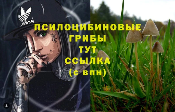 спайс Домодедово