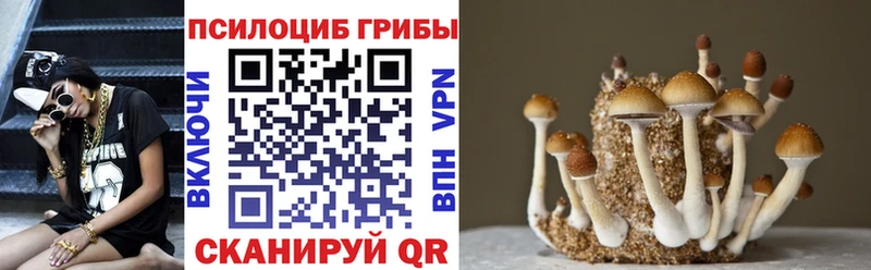 Галлюциногенные грибы GOLDEN TEACHER  Купить  Усть-Лабинск 